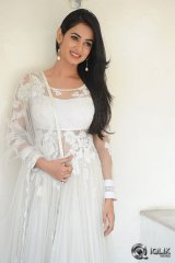 Sonal Chauhan at Legend Movie Press Meet